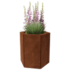 Hexagonal planters