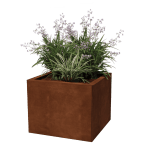 Square planters