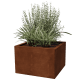 Planters