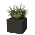 Square planters