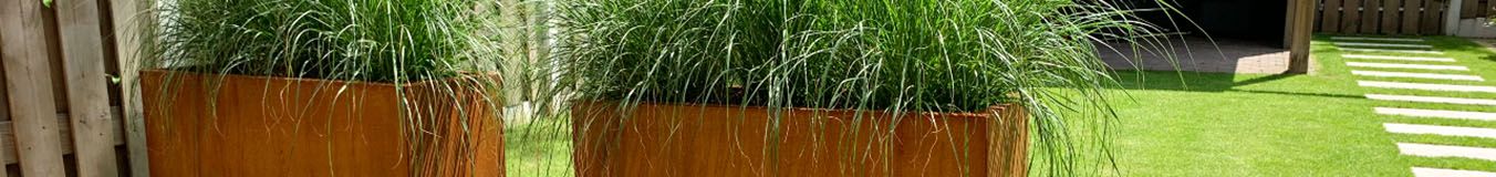 Planter soils