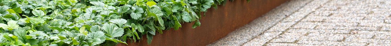 Steel border edge Steel border edge