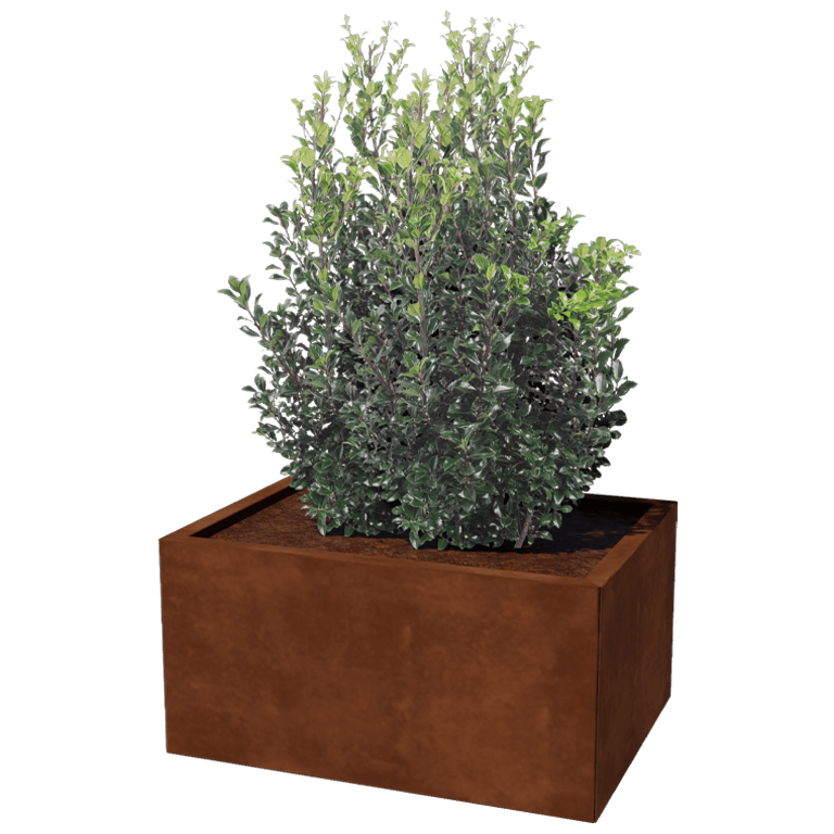 Corten steel planter Texas 60 x 80 cm