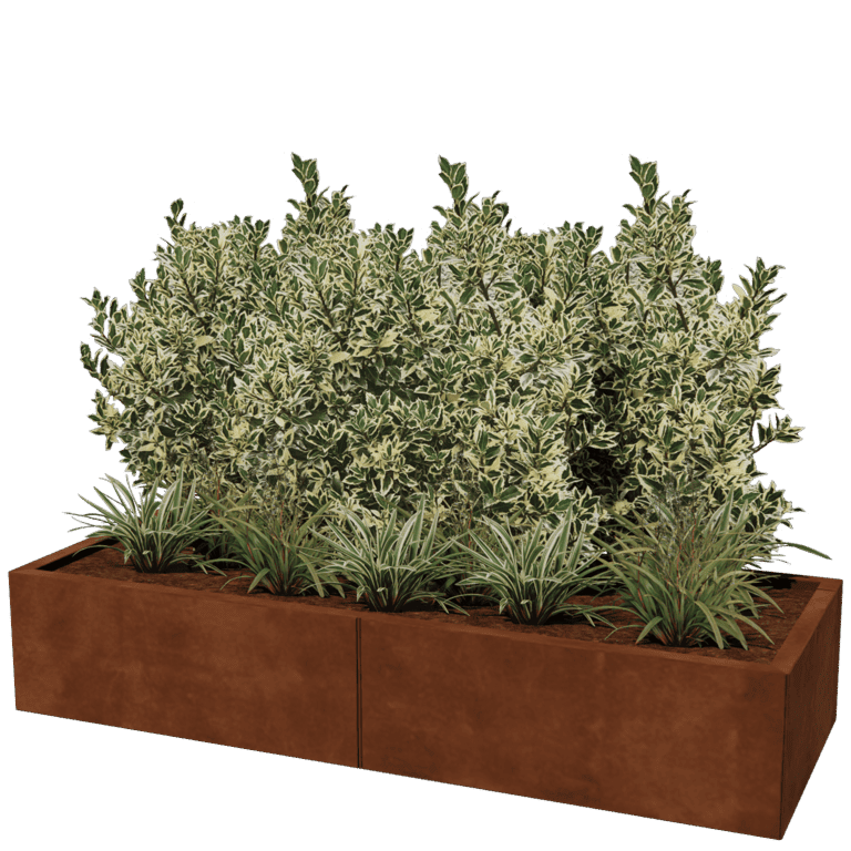 Corten steel planter Texas xxl 160 x 60 cm
