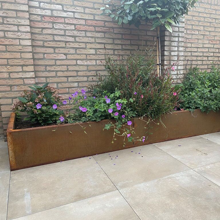 Corten steel retaining wall straight 200 cm (height 30 cm)