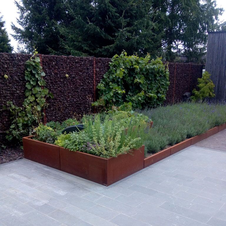 Corten steel retaining wall straight 100 cm (height 30 cm)