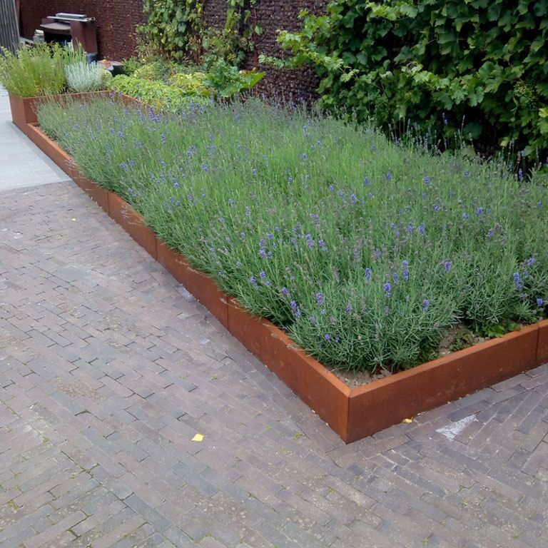 Corten steel retaining wall straight 200 cm (height 30 cm)