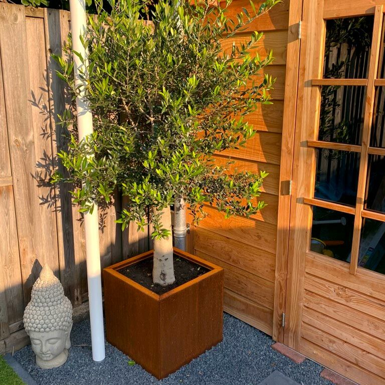 Corten steel planter Miami 50 x 50 cm