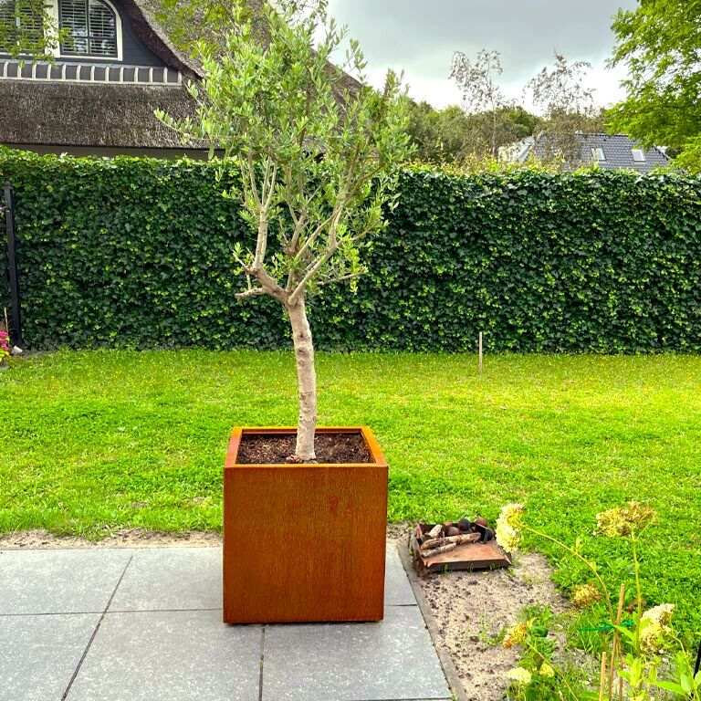 Corten steel planter Miami 60 x 60 cm