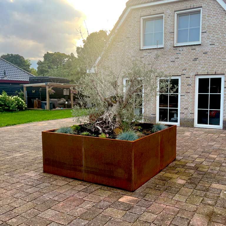 Corten steel planter Miami xxl 240 x 240 cm