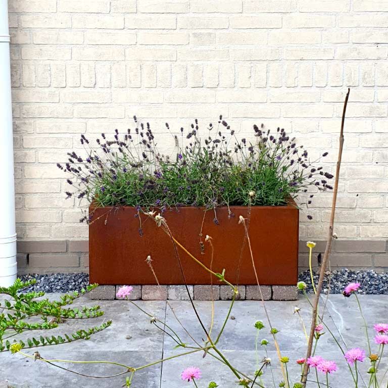 Corten steel planter Texas 30 x 80 cm