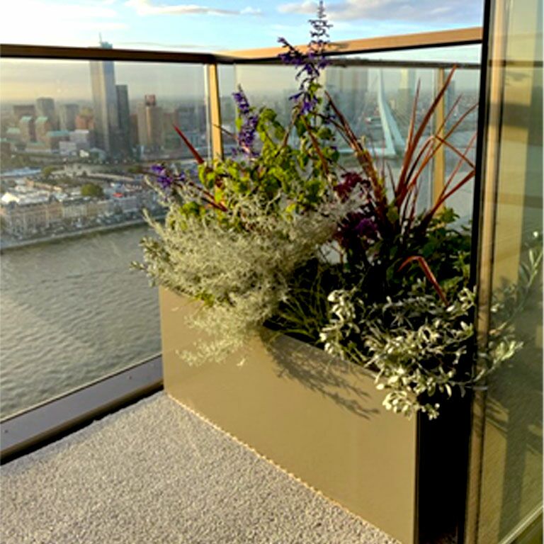 Powder coated steel planter Texas 50 x 100 cm