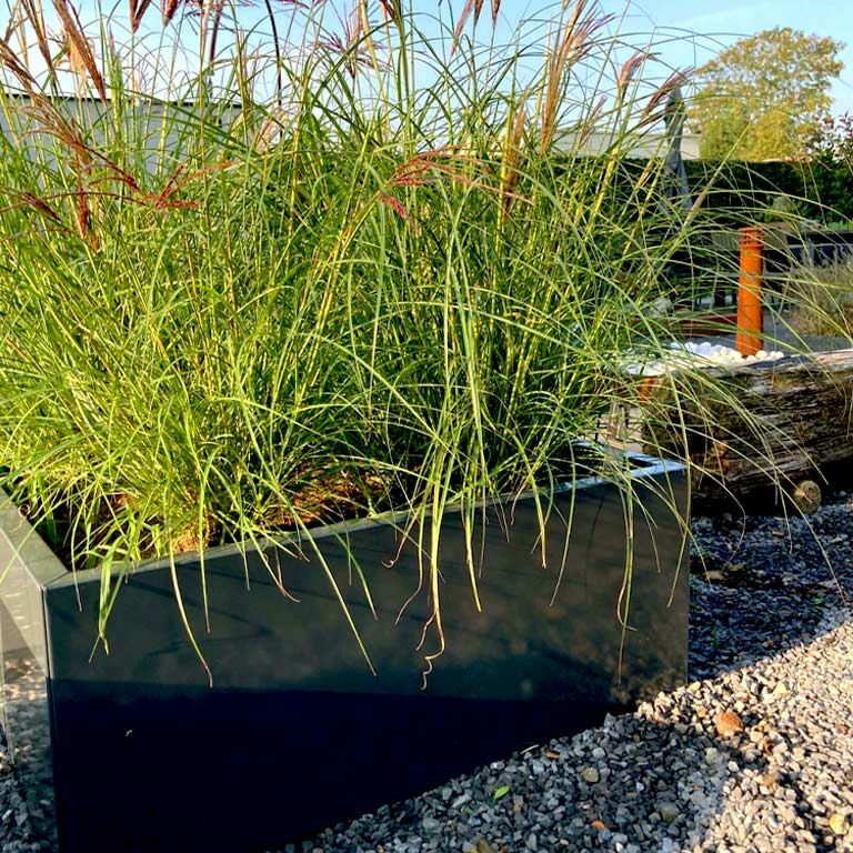 Powder coated steel planter Texas 60 x 100 cm