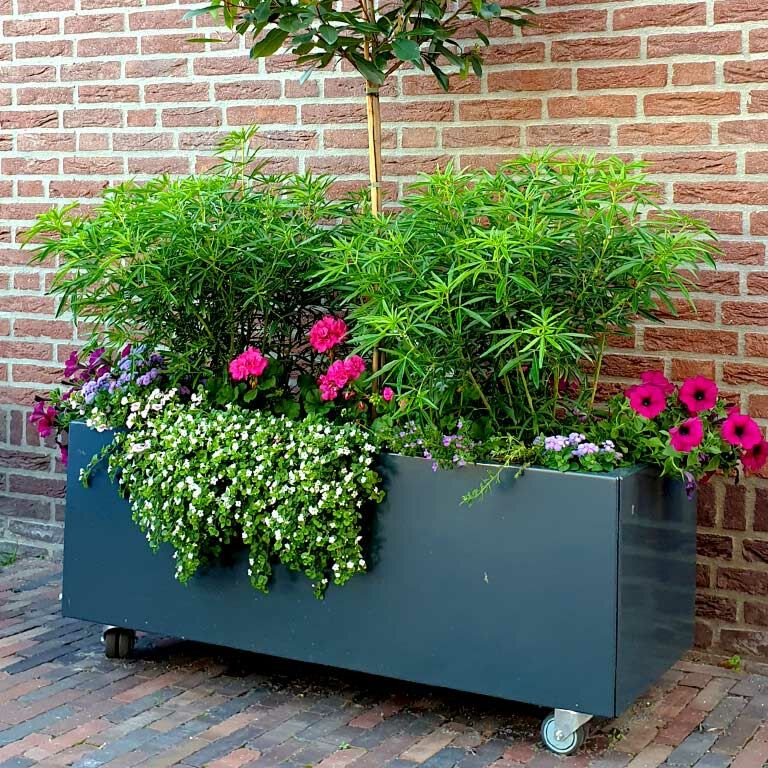 Powder coated steel planter Texas 50 x 120 cm