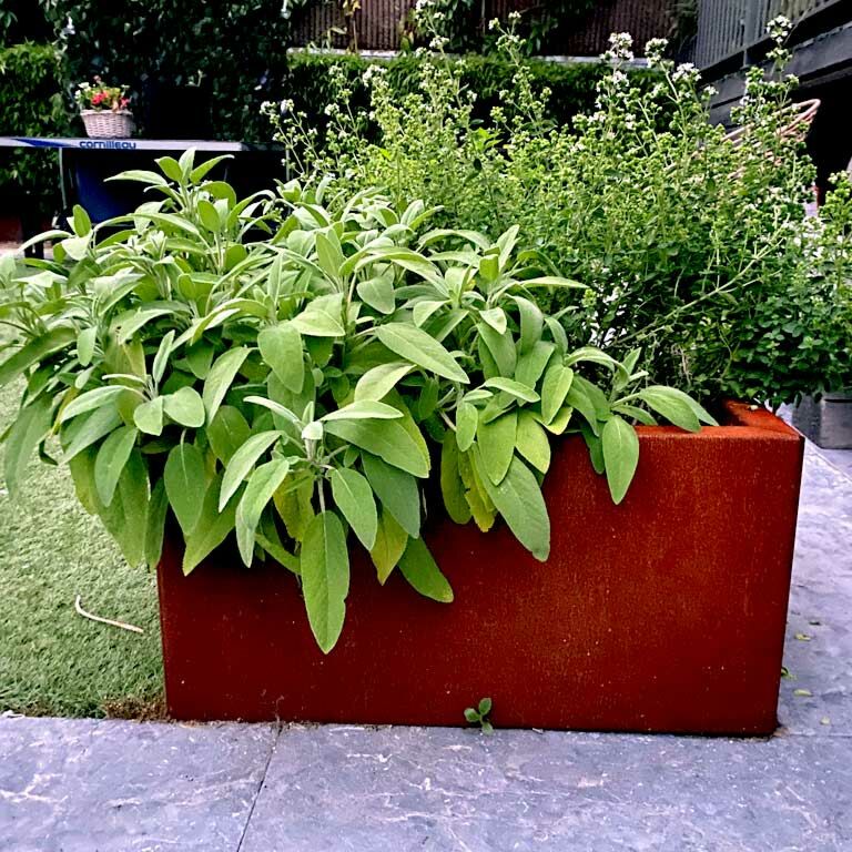 Corten steel planter Texas 50 x 60 cm