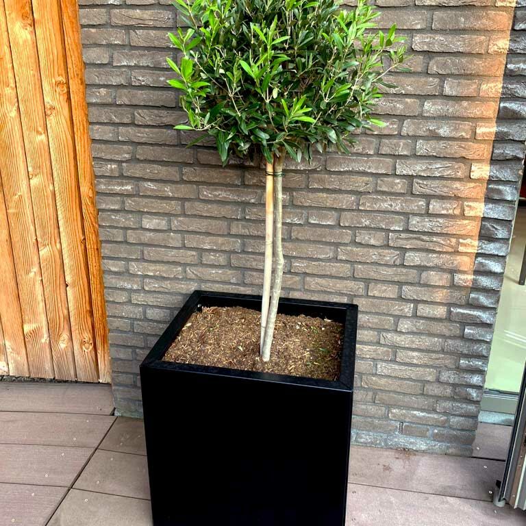 Powder coated steel planter Texas 30 x 40 cm