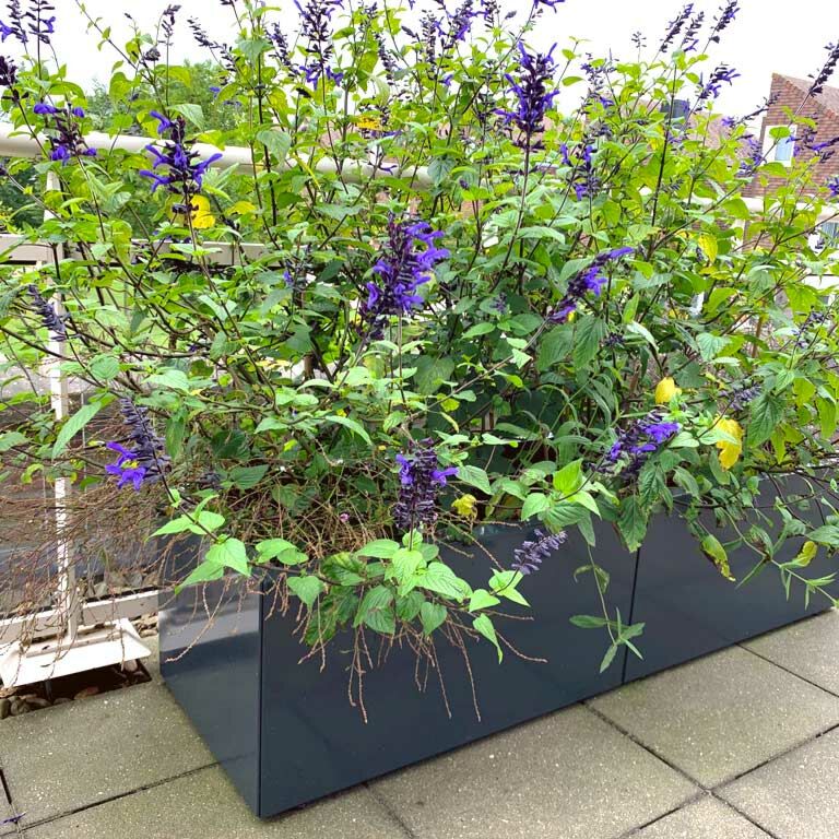 Powder coated steel planter Texas xxl 160 x 50 cm