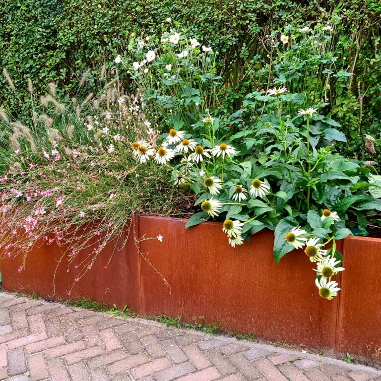 Corten steel planter Texas xxl 300 x 80 cm