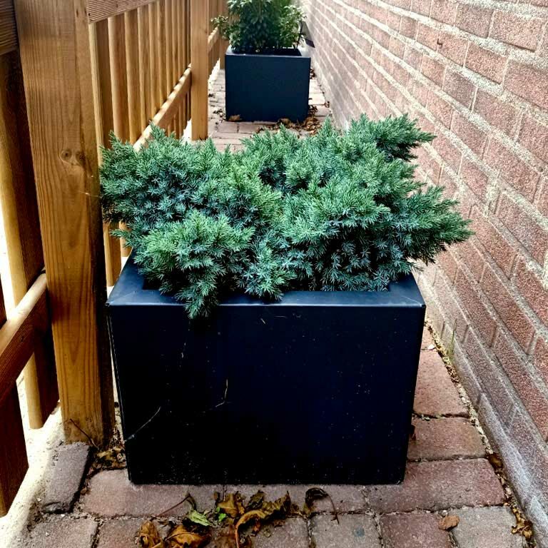 Powder coated steel planter Miami 40 x 40 cm