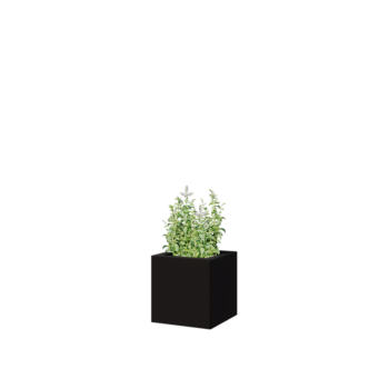 Steel planter - Square - 30 x 30 x 30 cm - RAL9005 matt (black) - Without bottom plate