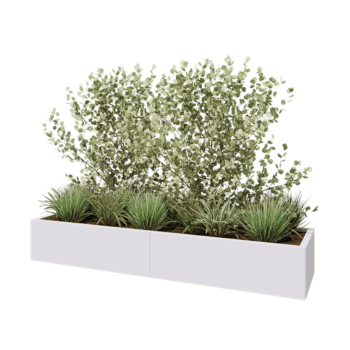 Steel planter XXL - Rectangle - 200 x 50 x 30 cm - RAL9005 matt (white) - Without bottom plate