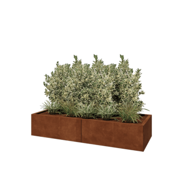 Corten steel planter XXL - Rectangle - 160 x 60 x 30 cm - Without bottom plate