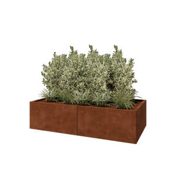 Corten steel planter XXL - Rectangle - 160 x 80 x 40 cm - Without bottom plate