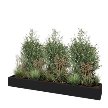 Fibreglass planter - Rectangle - 200 x 30 x 20 cm - RAL7021 matt (black grey) - With bottom