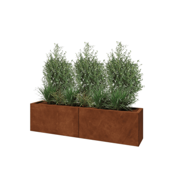 Corten steel planter XXL - Rectangle - 160 x 30 x 40 cm - With bottom plate