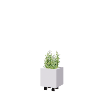 Steel planter - Square - 30 x 30 x 30 cm - RAL9005 matt (white) - With bottom plate - With wheels