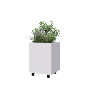 Steel planter - Square - 50 x 50 x 60 cm - RAL9005 matt (white) - With bottom plate - With wheels