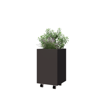 Steel planter - Square - 40 x 40 x 60 cm - RAL7016 matt (anthracite grey) - With bottom plate - With wheels