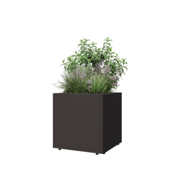 Steel planter - Square - 60 x 60 x 60 cm - RAL7016 matt (anthracite grey) - With bottom plate - With legs