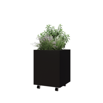 Steel planter - Square - 50 x 50 x 60 cm - RAL9005 matt (black) - With bottom plate - With wheels