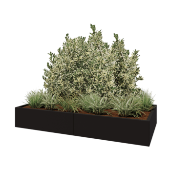 Steel planter XXL - Rectangle - 200 x 100 x 30 cm - RAL9005 matt (black) - Without bottom plate