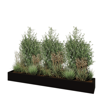 Fibreglass planter - Rectangle - 200 x 30 x 20 cm - RAL9005 matt (black) - With bottom