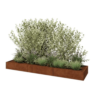 Corten steel planter XXL - Rectangle - 360 x 80 x 30 cm - Without bottom plate