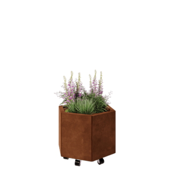 Corten steel planter - Hexagon - 59,3 x 52 x 40 cm - With bottom plate - With wheels
