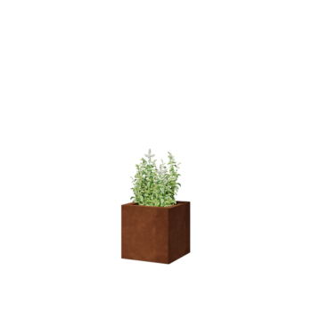 Corten steel planter - Square - 30 x 30 x 30 cm - With bottom plate