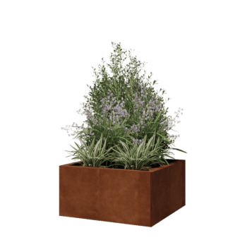 Corten steel planter - Square - 60 x 60 x 30 cm - With bottom plate