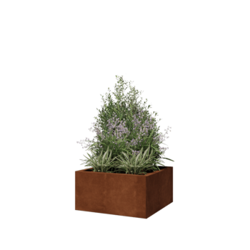 Corten steel planter - Square - 60 x 60 x 30 cm - With bottom plate