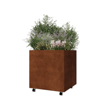 Corten steel planter - Square - 70 x 70 x 70 cm - With bottom plate - With wheels