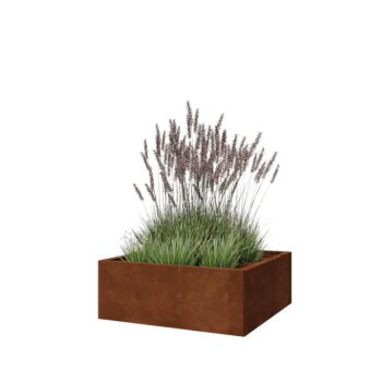 Corten steel planter - Square - 80 x 80 x 30 cm - With bottom plate