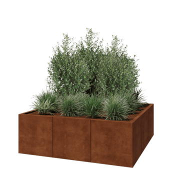 Corten steel planter XXL - Square - 150 x 150 x 50 cm - Without bottom plate