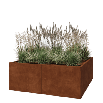 Corten steel planter XXL - Square - 160 x 160 x 60 cm - Without bottom plate