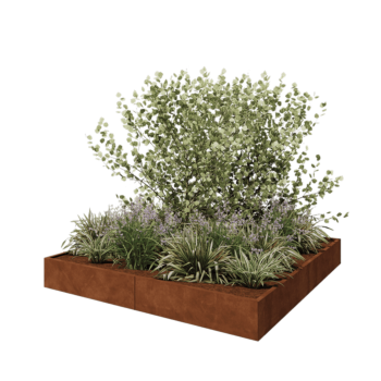 Corten steel planter XXL - Square - 240 x 240 x 30 cm - Without bottom plate