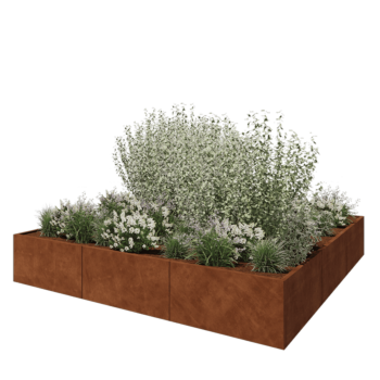 Corten steel planter XXL - Square - 300 x 300 x 50 cm - Without bottom plate
