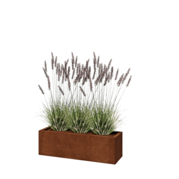 Corten steel planter - Rectangle - 100 x 30 x 30 cm - Without bottom plate