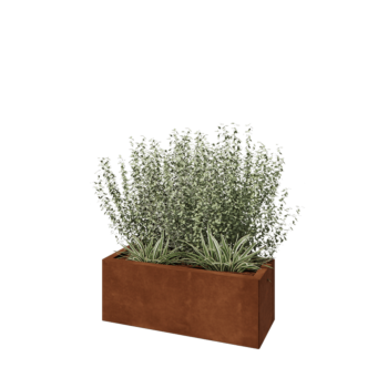Corten steel planter - Rectangle - 80 x 30 x 30 cm - Without bottom plate