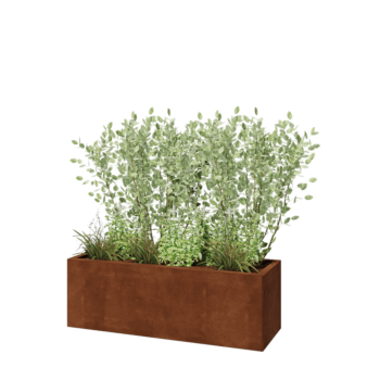 Corten steel planter - Rectangle - 120 x 40 x 40 cm - With bottom plate